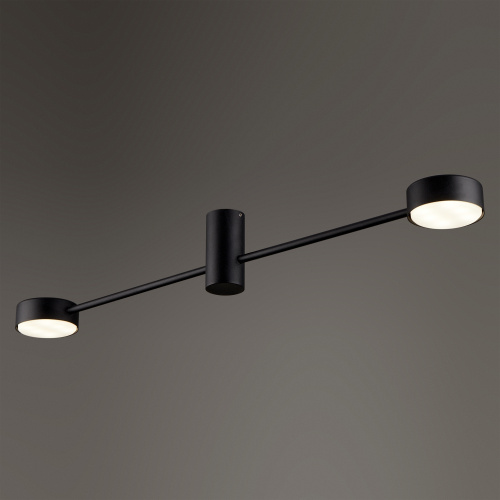 Потолочный светильник Freya FR5363CL-02B1 фото 7